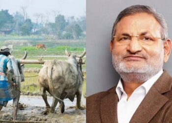 फळपिक विमा योजनेस अर्ज करण्यासाठी चार दिवसांची मुदतवाढ : कृषिमंत्री